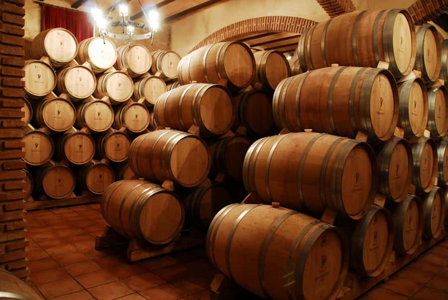 Mendoza: Small-Group Wineries Tour with Tasting and Lunch - Key points to know before you book