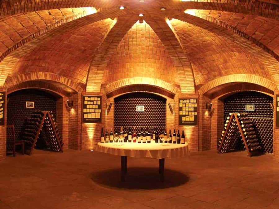 Mendoza: Small-Group Wineries Tour with Tasting and Lunch - Two wineries, two ways to understand Argentine wine