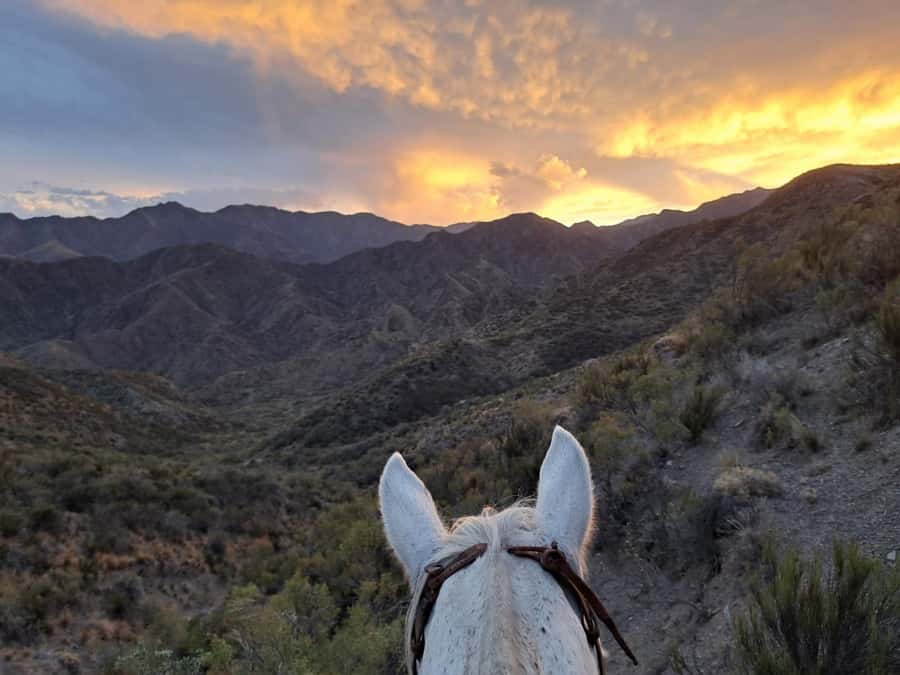 Mendoza: Sunset Horse Back Riding in the Mountains and BBQ - Three Hours Through Mendoza’s Mountain Country