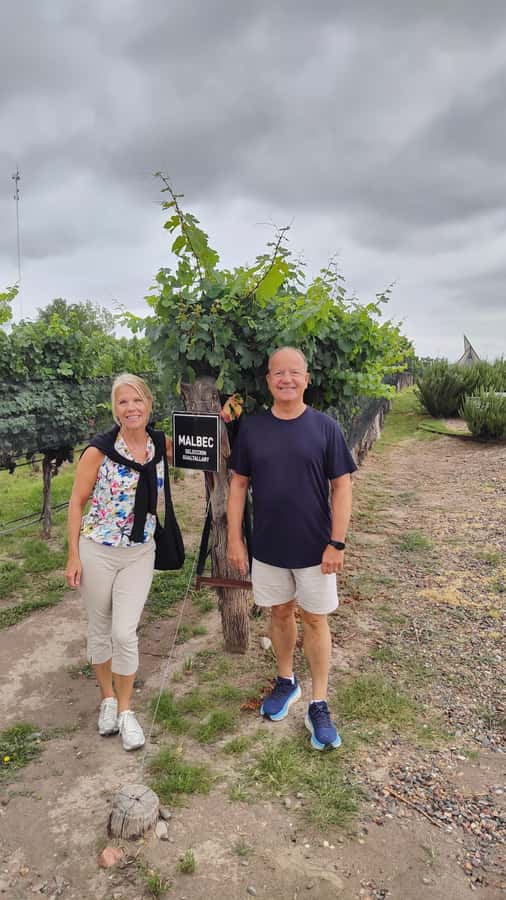 Mendoza: Top Wineries Guided Tour with Transportation - Five things to know before booking