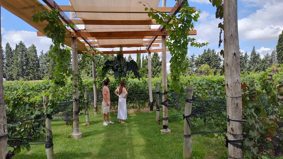 Mendoza: Top Wineries Guided Tour with Transportation - Choosing Luján de Cuyo or the Uco Valley