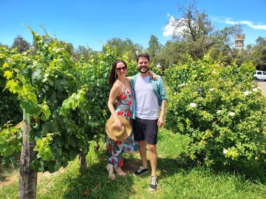 Mendoza: Top Wineries Guided Tour with Transportation - Timing, pickup, and the rhythm of the day