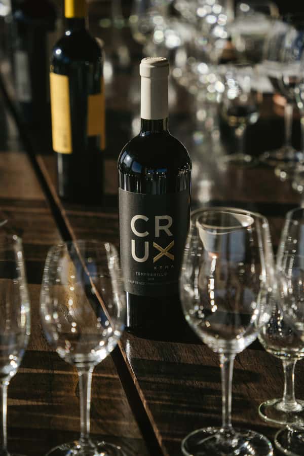 Mendoza: Tour with tasting and lunch High Altitude Wineries - Who will enjoy this day most
