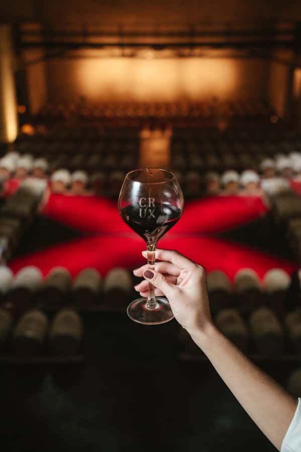 Mendoza: Tour with tasting and lunch High Altitude Wineries - Timing, language, and small practical choices