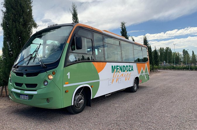 Mendoza Wine and Oil Tasting in Maipu - Who should choose this Maipu outing