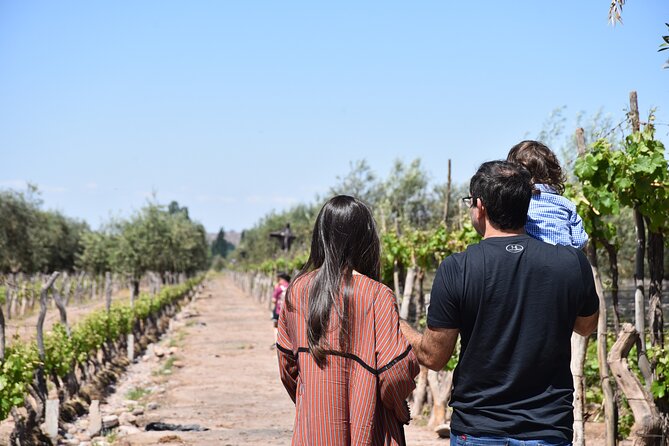 Mendoza Wine and Oil Tasting in Maipu - First winery: family tradition or an artisan approach