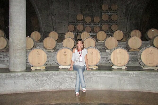 Mendoza Wine Route A Full Day Private Excursion - What this Mendoza wine tour actually offers