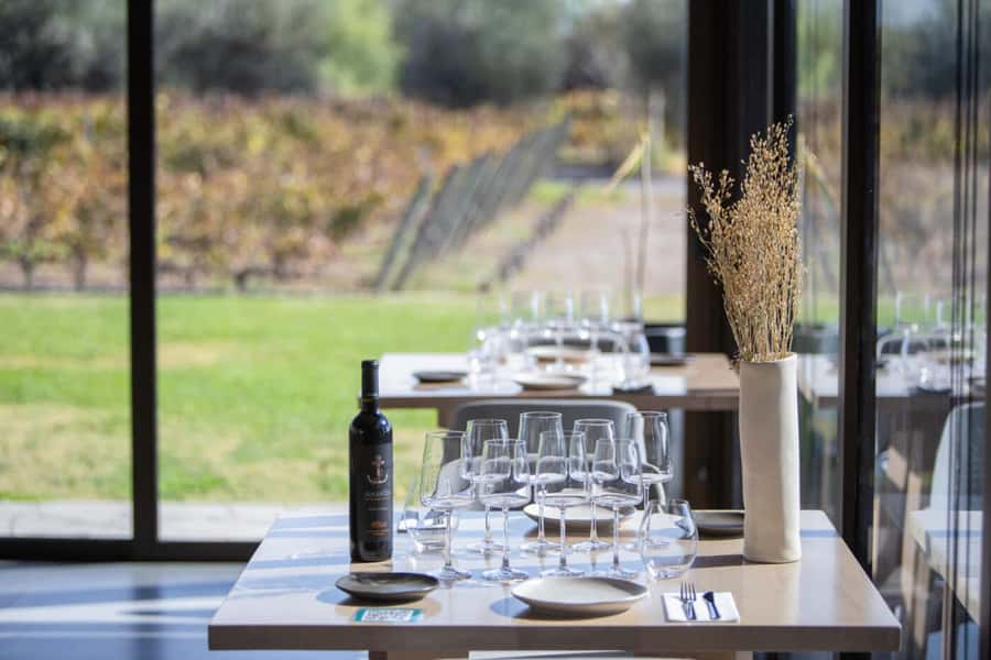 Mendoza: Wine Tasting Tour with Lunch and Private Transport - Key points to know before booking