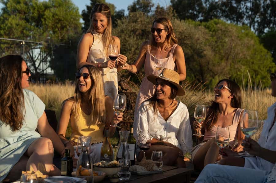 Mendoza: Wine Tasting Tour with Lunch and Private Transport - Final decision: a very good first taste of Mendoza