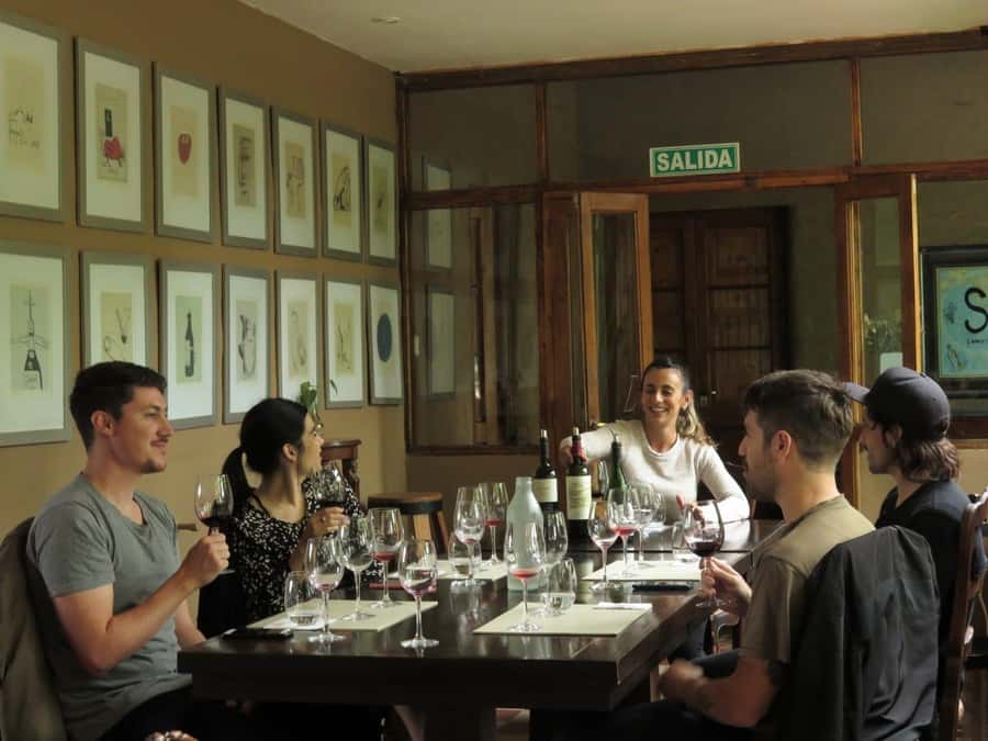 Mendoza: Wine Tasting Tour with Lunch and Private Transport - A private start from your Mendoza hotel