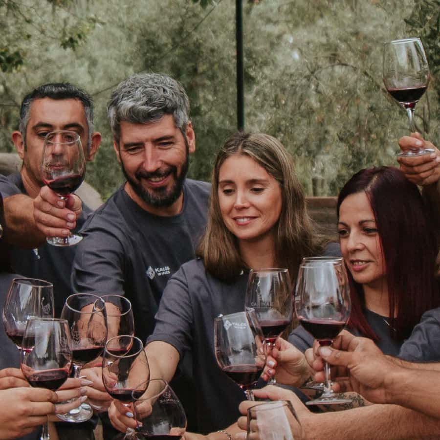 Mendoza: Wine Tasting Tour with Lunch and Private Transport - Second winery: the tasting usually gets more focused