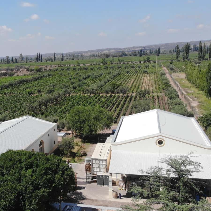 Mendoza: Wine Tasting Tour with Lunch and Private Transport - Is $220 per person good value?