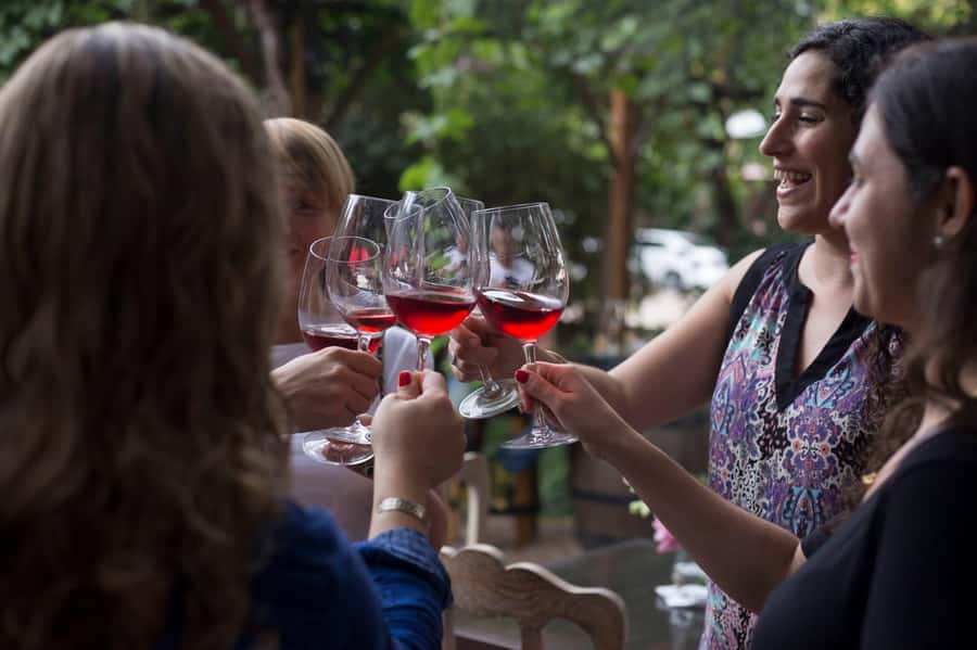 Mendoza: Wine Tasting Tour with Lunch and Private Transport - Language, group size, and what the day feels like