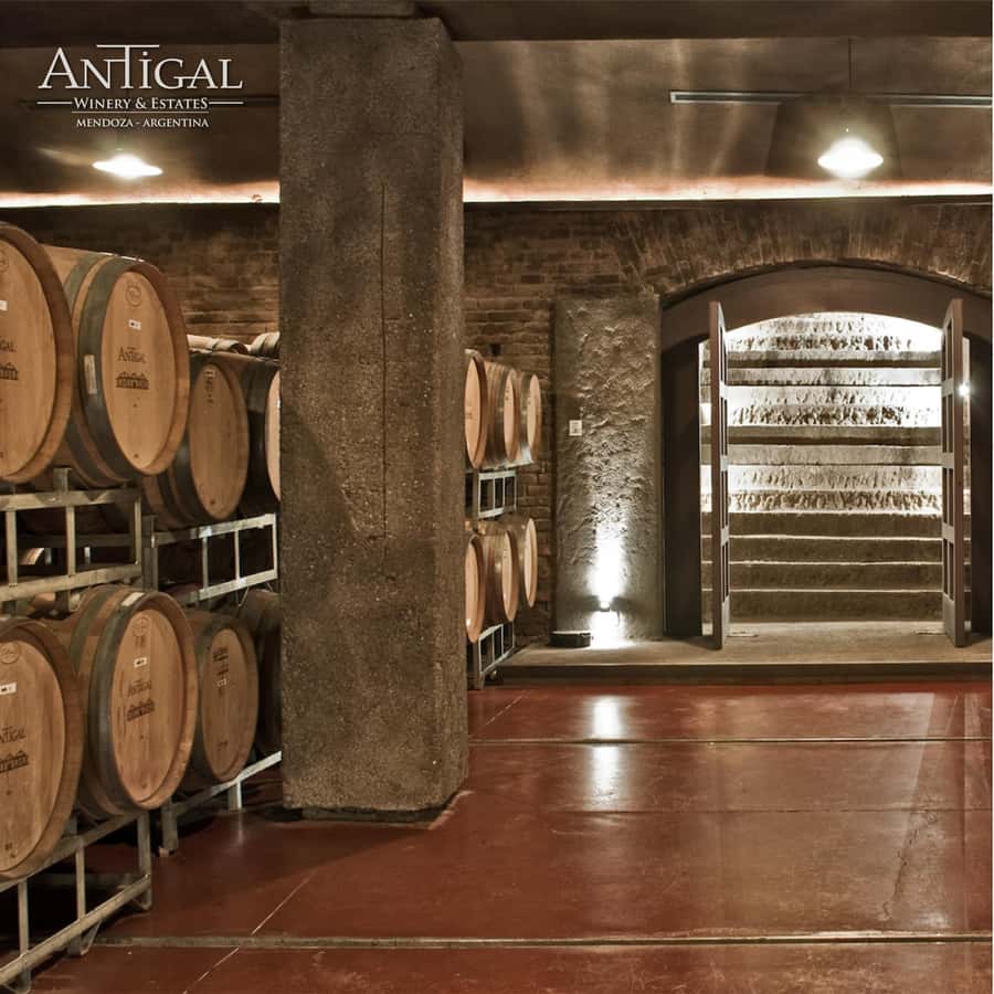 Mendoza: Wine Tasting Tour with Lunch and Private Transport - Who should book this Mendoza wine tour?