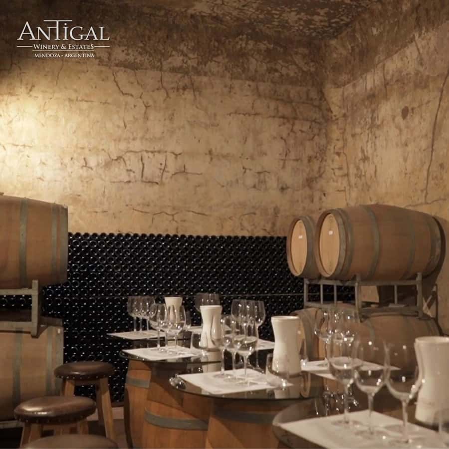 Mendoza: Wine Tasting Tour with Lunch and Private Transport - First winery: a guided look behind the bottle