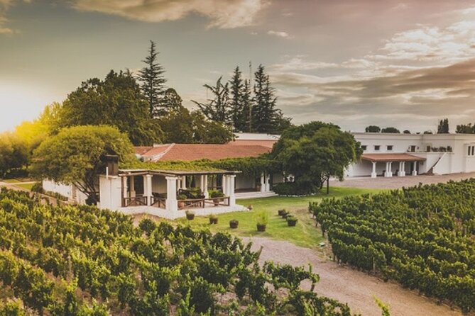Mendoza Wine Tour with Lunch - Key points to know before booking