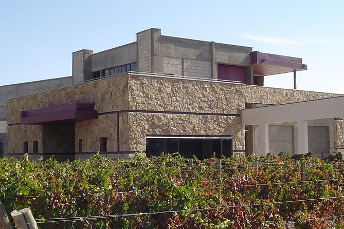 Mendoza Wine Tour with Lunch - Why Luján de Cuyo makes a good wine day