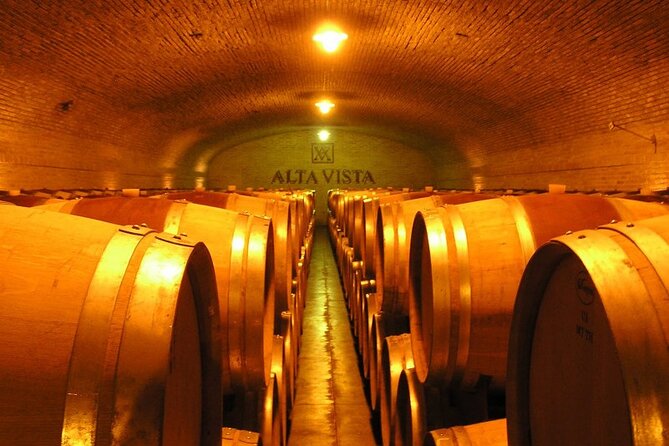 Mendoza Wine Tour with Lunch - The picnic lunch is more than a meal break