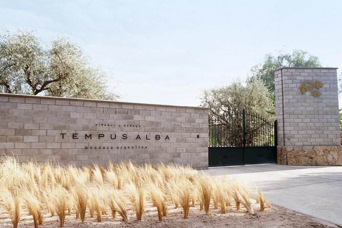 Mendoza Wine Tour with Lunch - Trivento and the scale of Argentine production