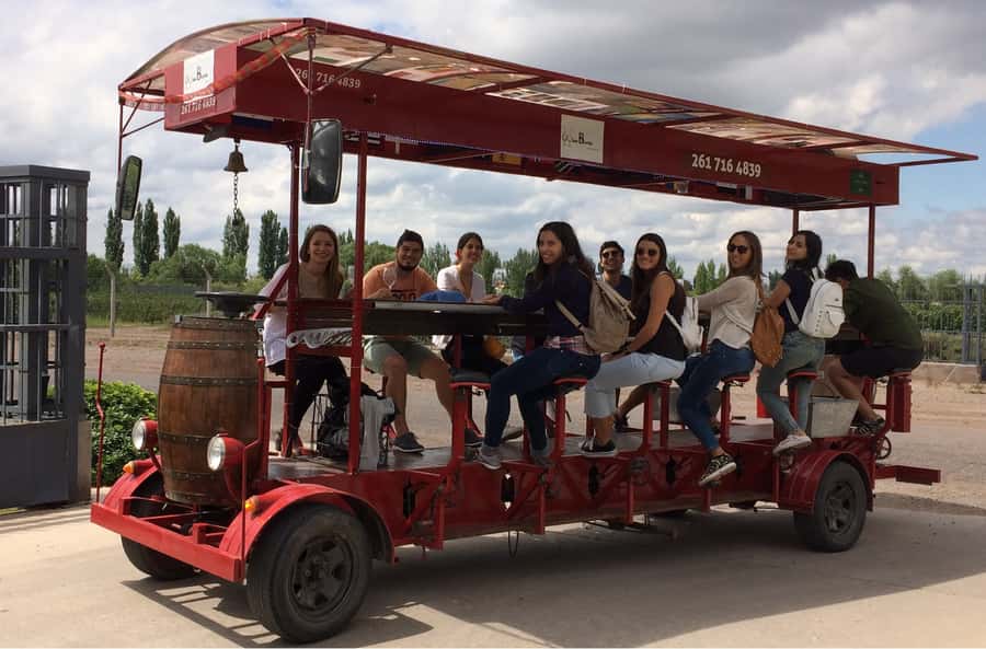 Mendoza: Winebike Tasting Tour with Optional Lunch - Key points to know before you book