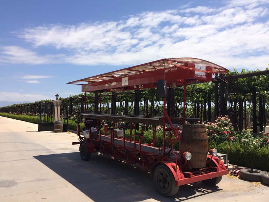 Mendoza: Winebike Tasting Tour with Optional Lunch - Starting at Carinae, Mendoza’s oldest active winery