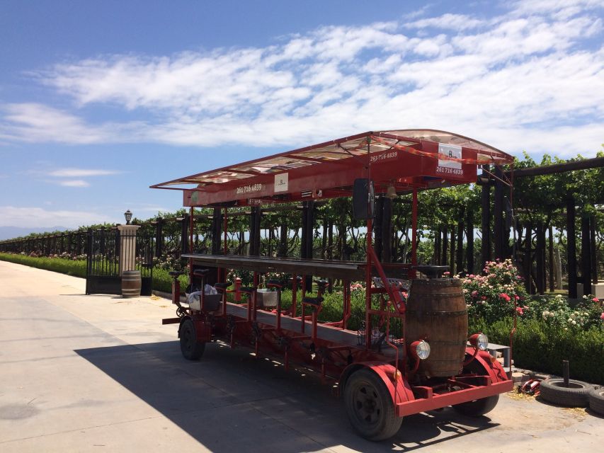 Mendoza: Winebike Tasting Tour with Optional Lunch - Is the $100 price good value?