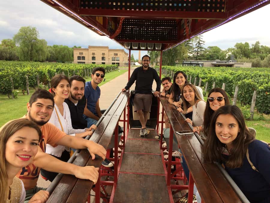 Mendoza: Winebike Tasting Tour with Optional Lunch - Pedaling through vineyards on the multi-bike