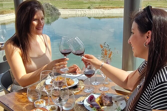 Mendoza Winery Tour with Olive Trees in Private Service - Why a private Mendoza wine day works well