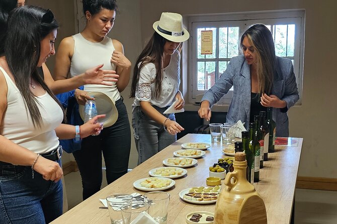 Mendoza Winery Tour with Olive Trees in Private Service - Los Toneles closes with architecture and three wines