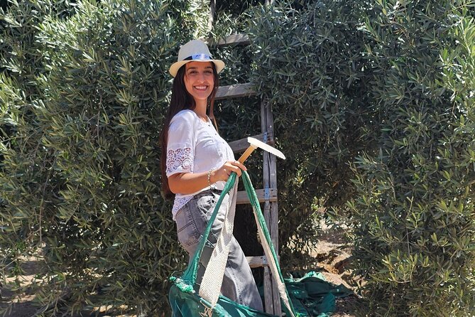 Mendoza Winery Tour with Olive Trees in Private Service - Timing, pace, and practical concerns