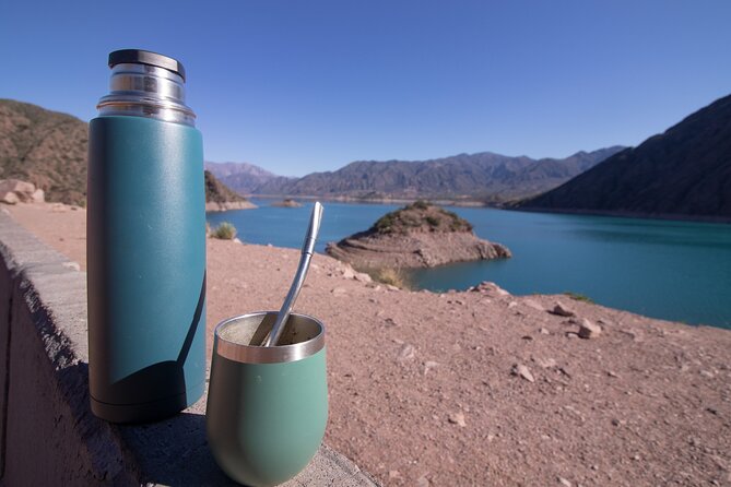 Mirador Aconcagua – A Full-Day Adventure - Why this Mendoza day trip works