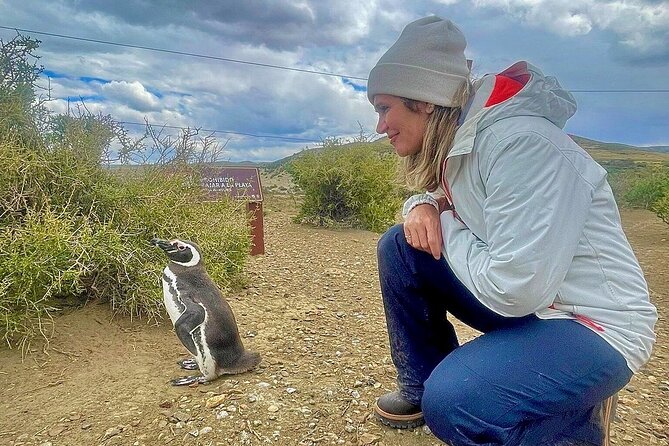 Monte Leon 4x4 Sea Lions and Penguins - Guide Service and Language Considerations
