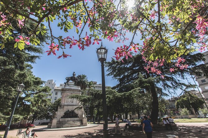 Montevideo Private Full Day Tour from Buenos Aires - The Legislative Palace in ten minutes