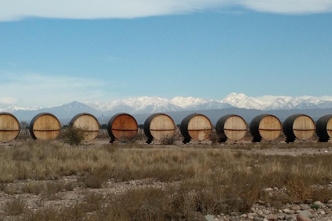 MTB - A tour of the wineries and their vineyards - The first winery: starting with wine and context