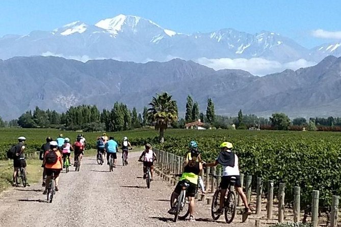 MTB - A tour of the wineries and their vineyards - The second winery and the rhythm of the route