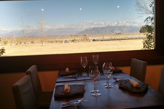 MTB - A tour of the wineries and their vineyards - Pickup from Mendoza City and the early start