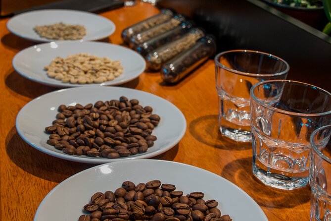 N1 Coffee Tasting Experience in Buenos Aires - Learning the Coffee Chain, From Seed to Cup