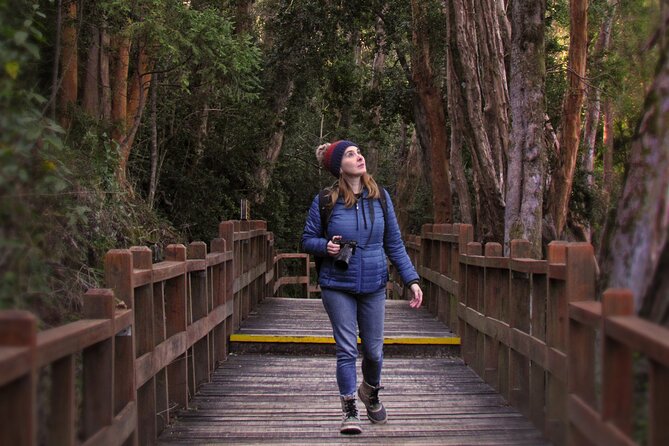 Nahuel Huapi Lake Cruise with Victoria Island and Arrayan Forest Walk - Starting in Bariloche and reaching Puerto Pañuelo