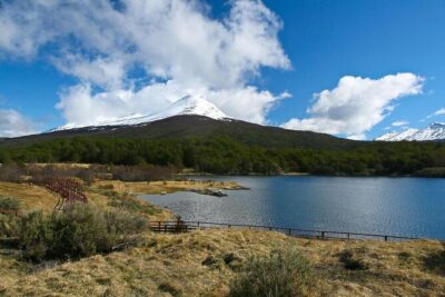 National Park and Train Trip End of the World Guided Tour