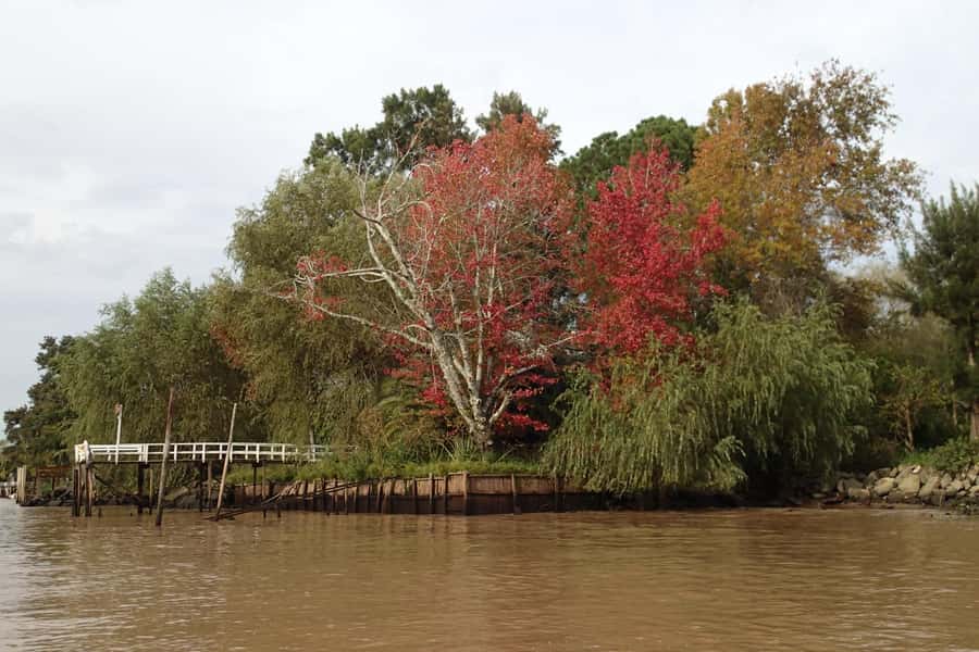 Navigation in Delta of Tigre - Exclusive semi private tour - Summer swimming and seasonal comfort