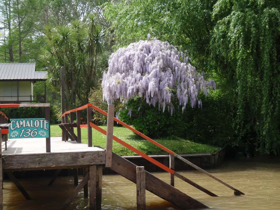 Navigation in Delta of Tigre - Exclusive semi private tour - Is $135 per person good value?