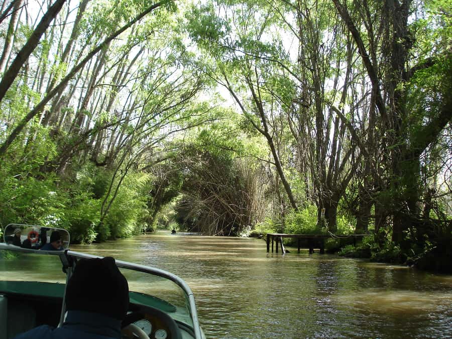 Navigation in Delta of Tigre - Exclusive semi private tour - The morning pickup and drive to Tigre