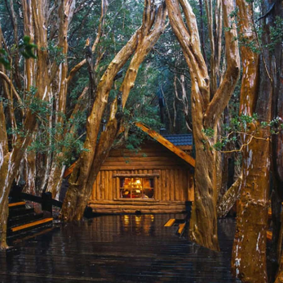 Navigation through Isla Victoria and Bosque de Arrayanes - Key points to know before booking