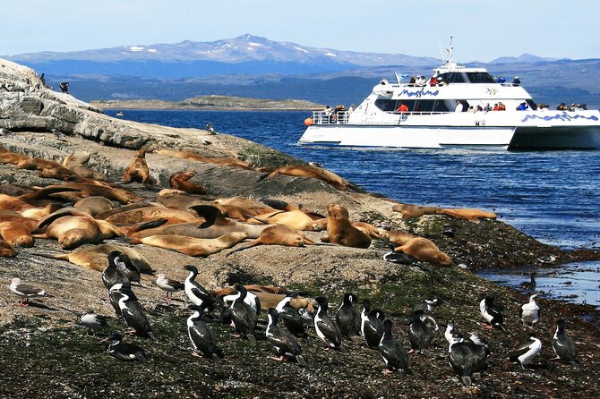 Navigation to Beagle Channel and Sea Lions Island with Transfers - Starting at Ushuaia’s port
