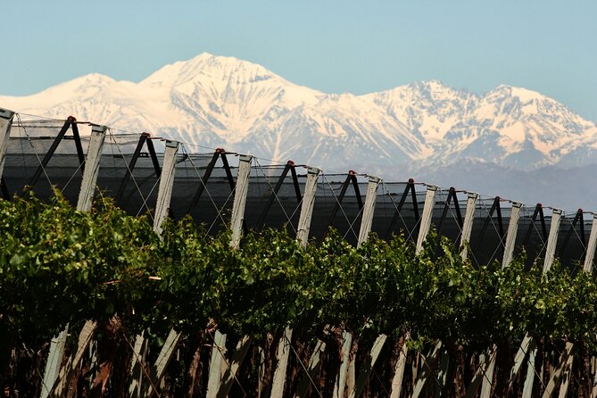 Olive oils, Gourmet products and Wines - Key points at a glance