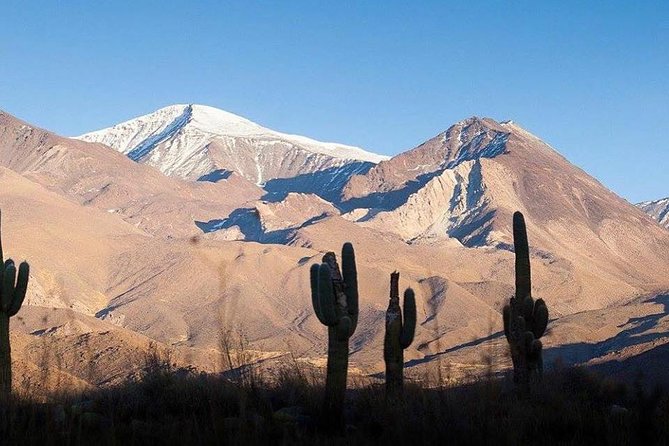 One Day Tour of Cachi and Calchaquí Valleys from Salta - Leaving Salta at 6:30 a.m.