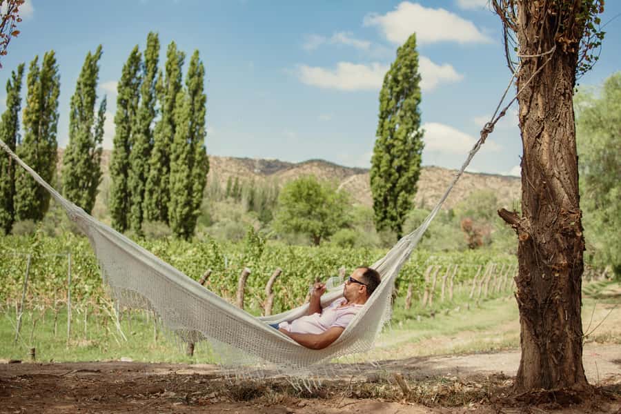 Organic & Biodynamic Wine Adventure in Mendoza - Who should book this experience
