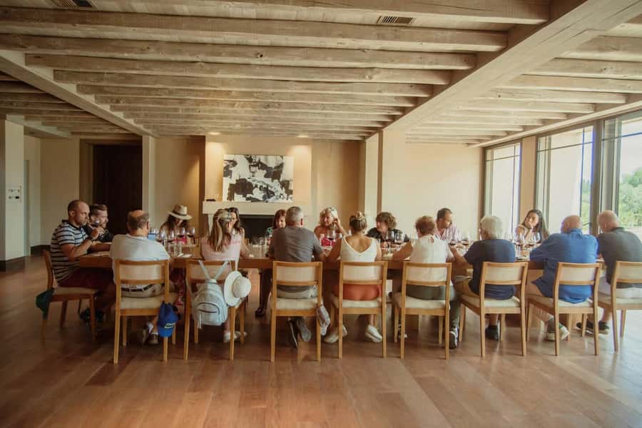 Organic & Biodynamic Wine Adventure in Mendoza - Why this Mendoza wine day feels different