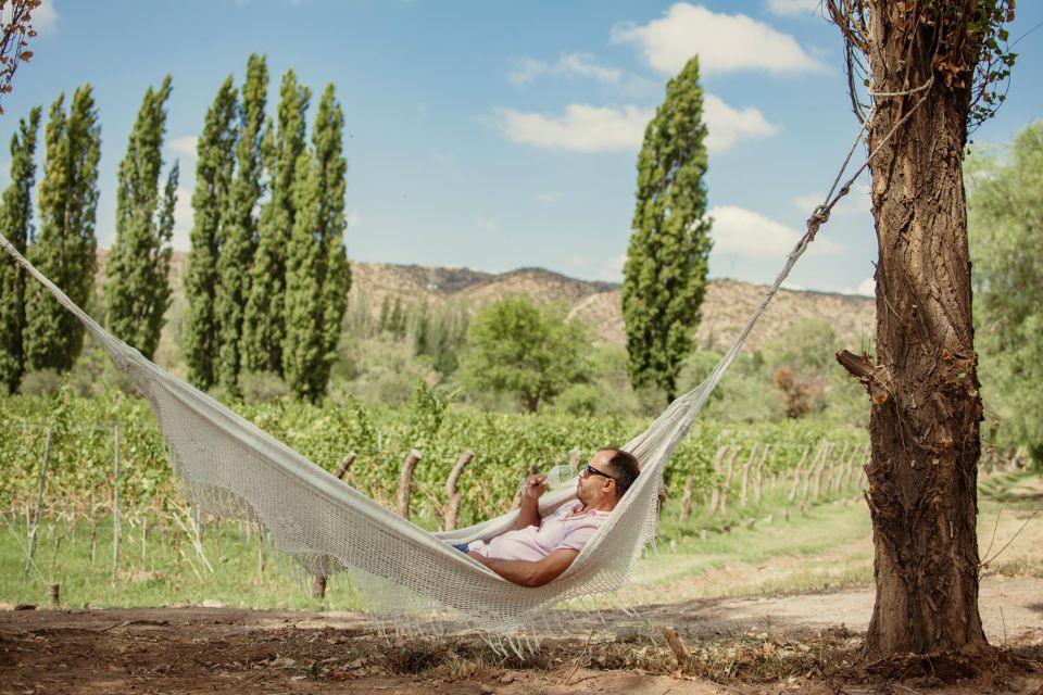 Organic & Biodynamic Wine Adventure in Mendoza - Third stop: Wine is Art! by Ernesto Catena