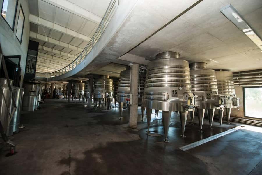 Organic & Biodynamic Wine Adventure in Mendoza - The food and wine pairing